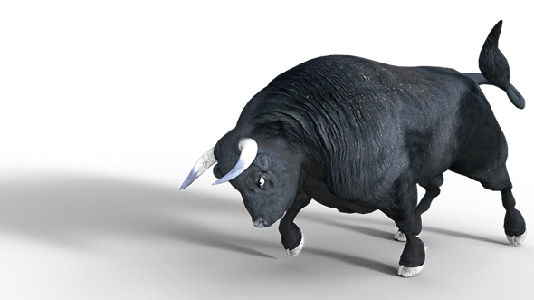 Bull-Image by Lutz Peter